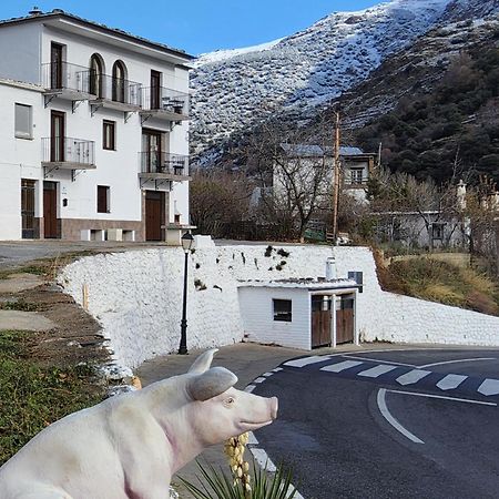 Alojamiento Rural Casa Clara La Pescaora Trevélez 外观 照片
