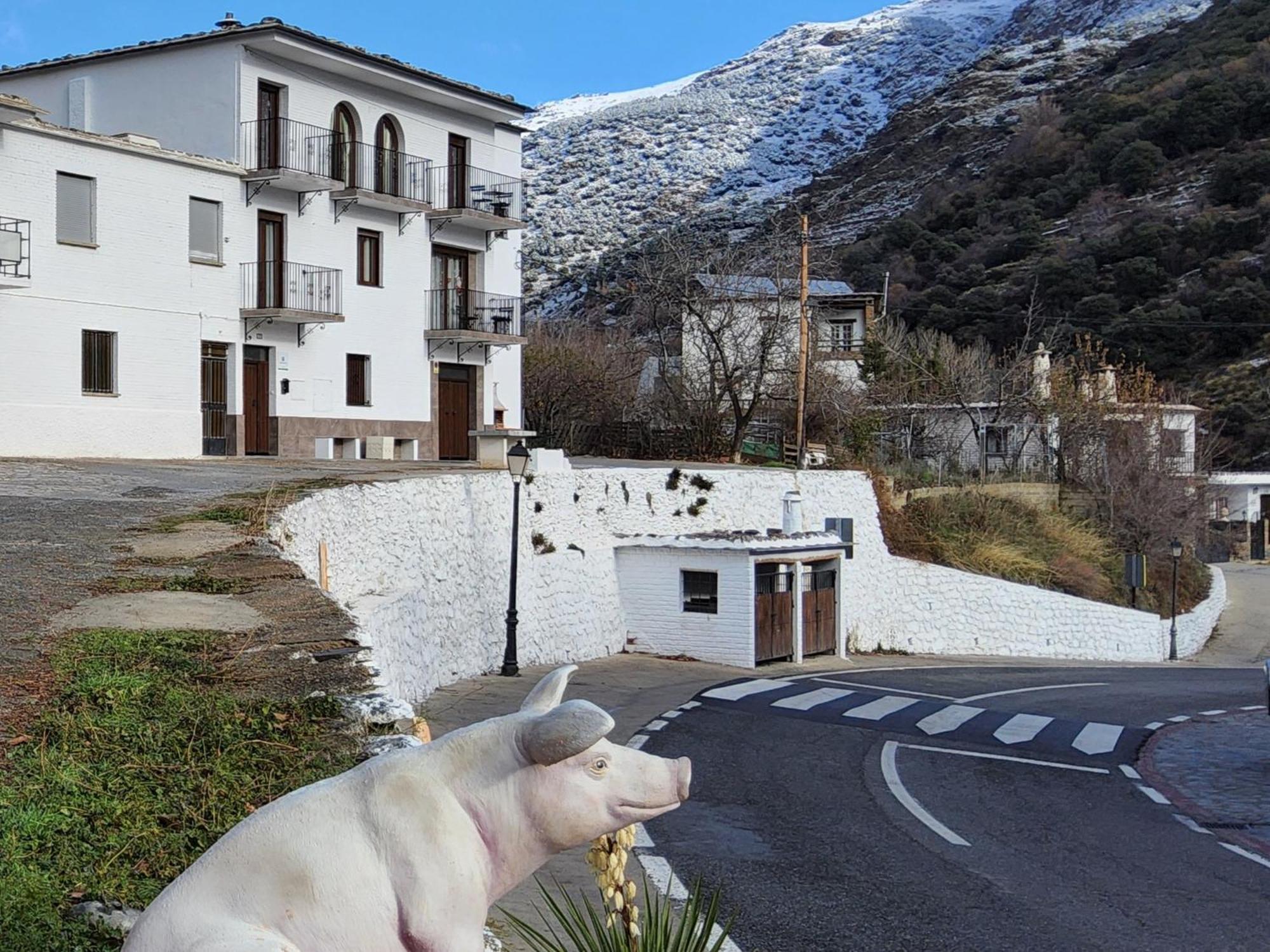 Alojamiento Rural Casa Clara La Pescaora Trevélez 外观 照片