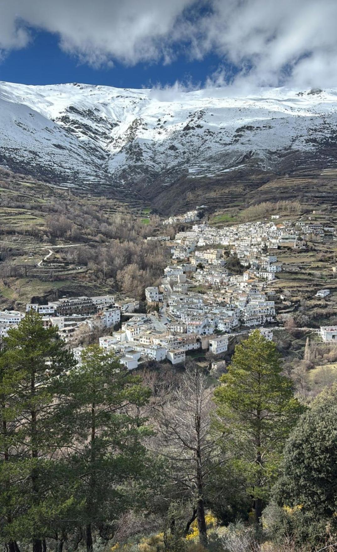 Alojamiento Rural Casa Clara La Pescaora Trevélez 外观 照片